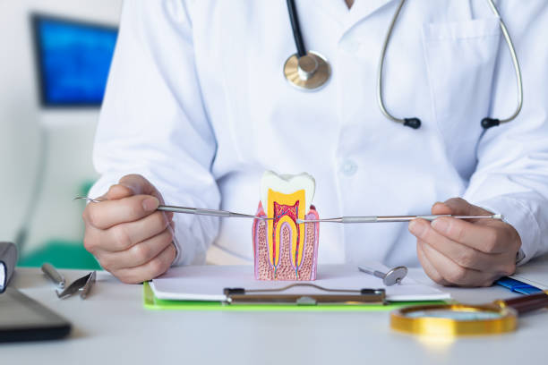 Best Emergency Broken Tooth Repair in Chain Lake, WA